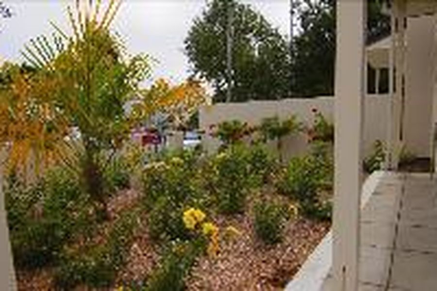 photo-1