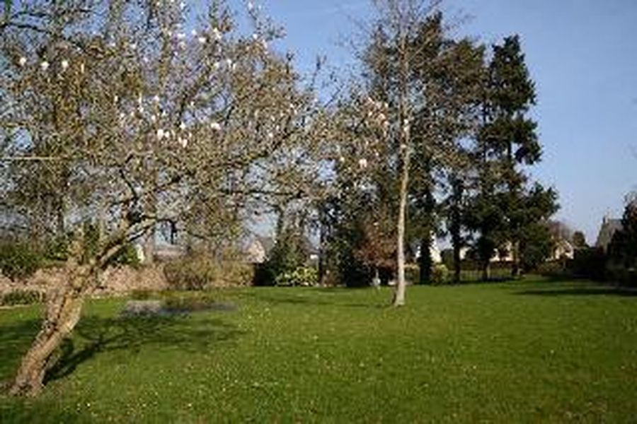 foto-1