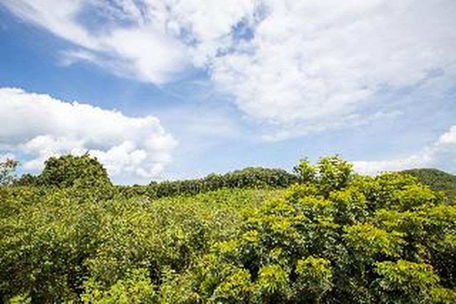 foto-0