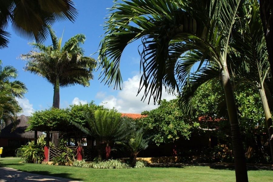 foto-2