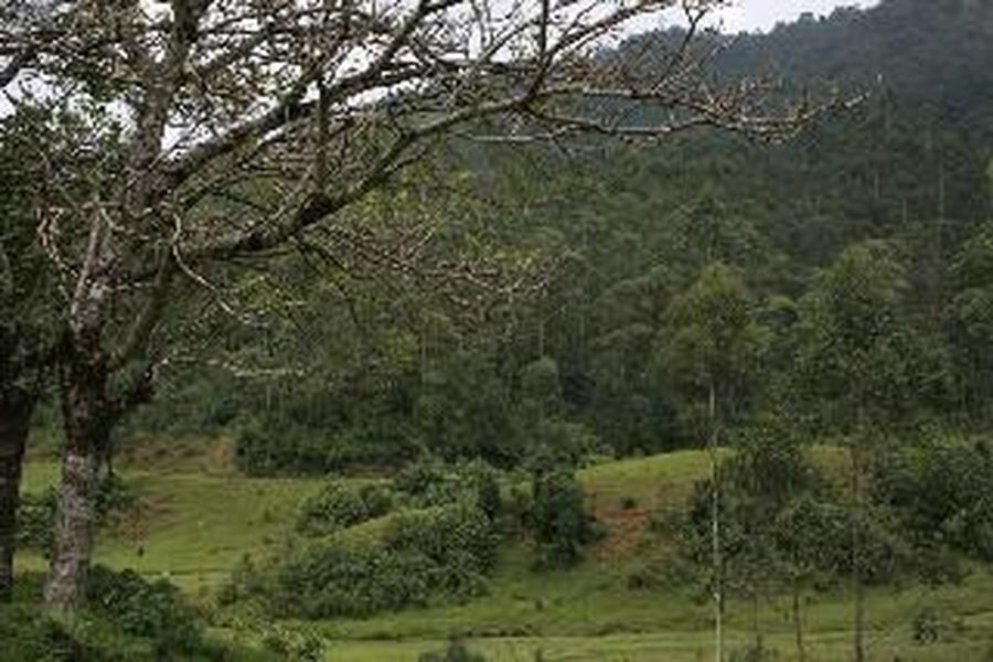 foto-1