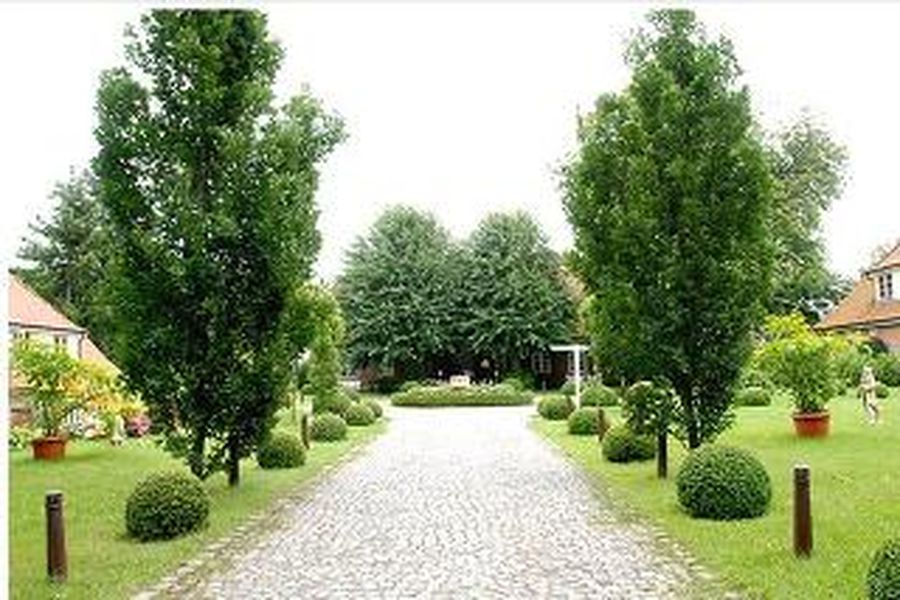 foto-1