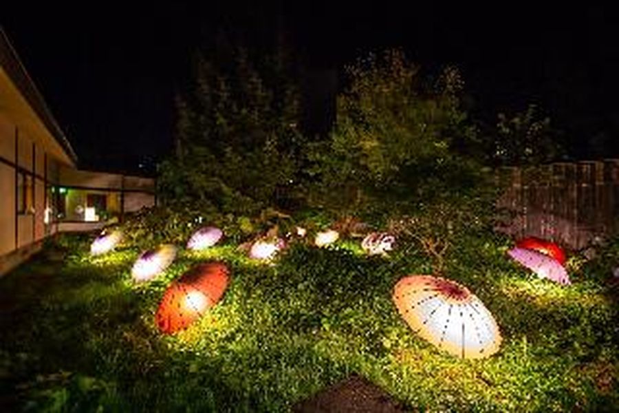 photo-2