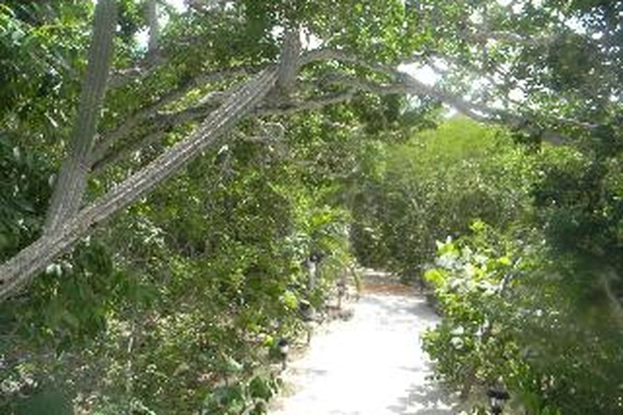 photo-1