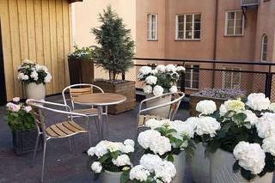 foto-2