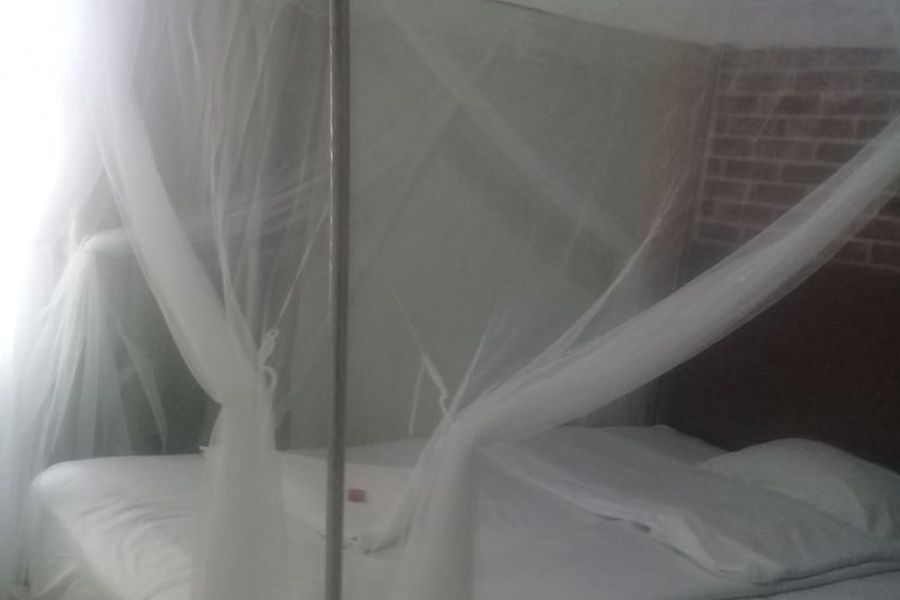 foto-3