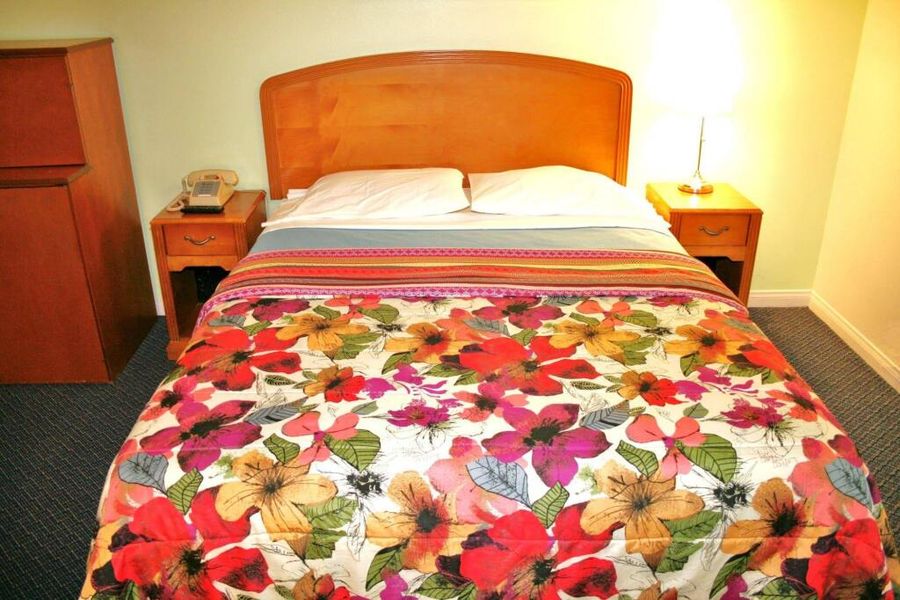 foto-2