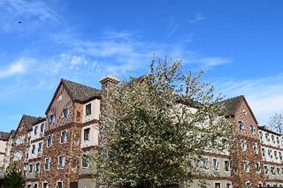 photo-1